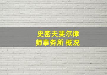 史密夫斐尔律师事务所 概况